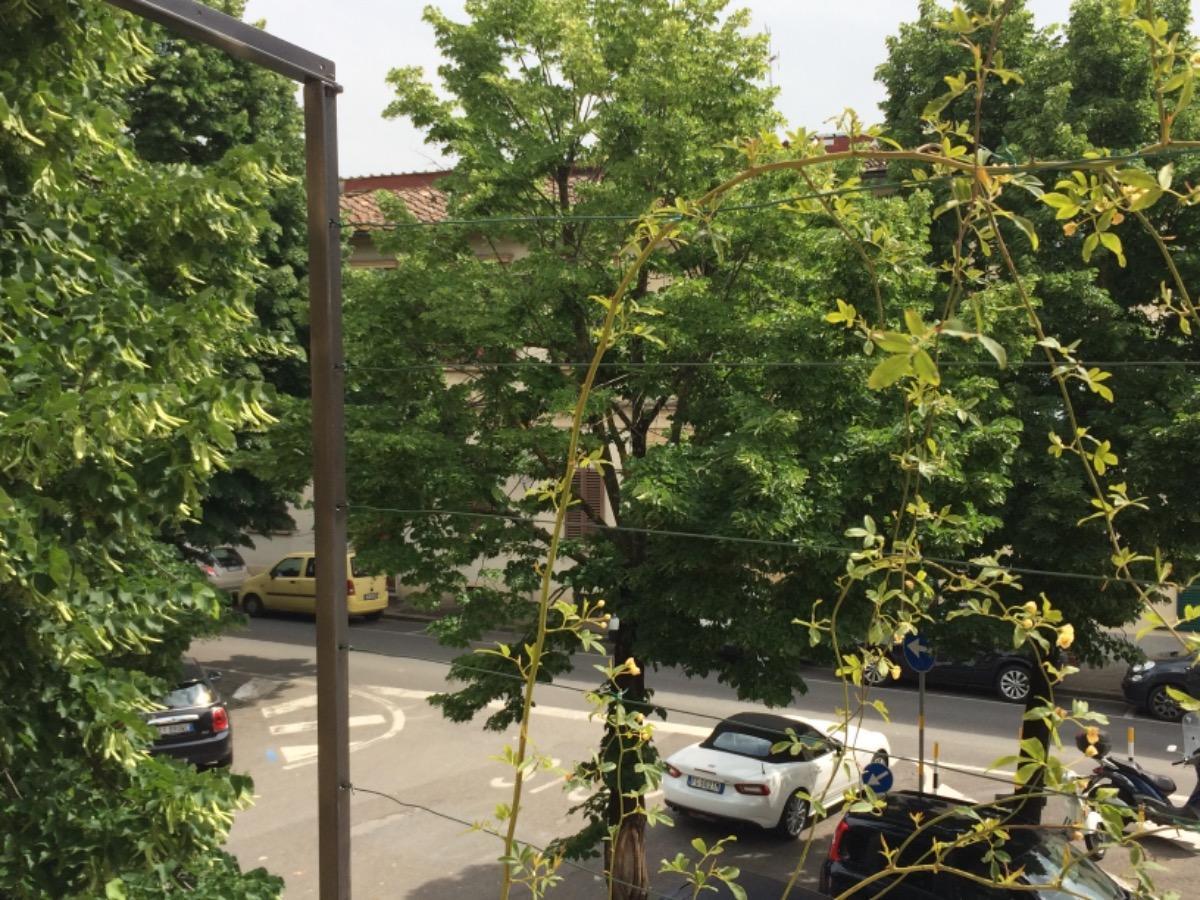 Brigid B&B Floransa Dış mekan fotoğraf